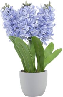mansion atmosphere Kunstplant hyacint blauw 28xH41cm