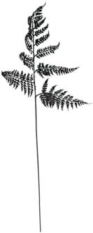 mansion atmosphere Kunsttak Varen bruin 88cm