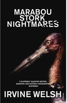 Marabou Stork Nightmares