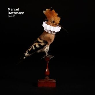 Marcel Dettmann - Fabric 77 Marcel Dettmann