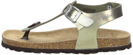 Maria  Kleuren Overige - 28