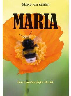Maria - Marco van Zuijlen