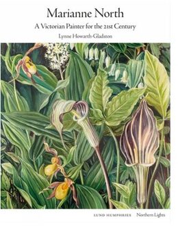 Marianne North - Northern Lights - Lynne Howarth-Gladston
