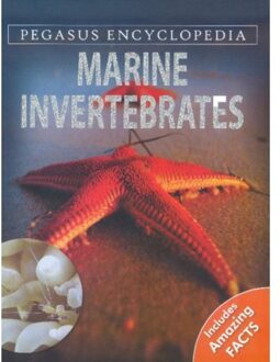 Marine Invertebrates