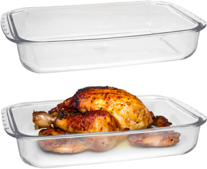 Marinex Ovenschaal van borosilicaat glas - 2x - rechthoek - 5.0 Liter - 40 x 25 x 7 cm - serveerscha