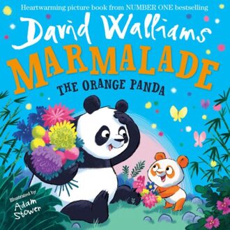 Marmalade - David Walliams
