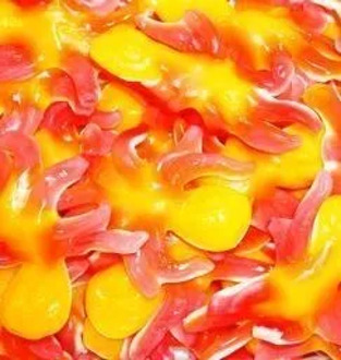 Marmalade giant octopus Fini 100 gr.