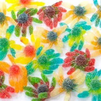 Marmalade octopus large in sugar Fini 100 gr.