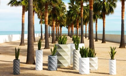 MARQUIS Pot Onverlicht