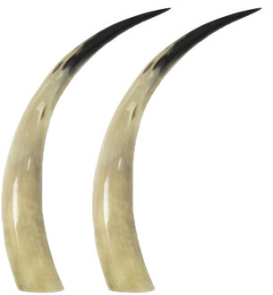 Mars & More Koehoorn - 2x - decoratie - beige - 45 cm - natuurlijk materiaal - voor binnen - uniek n
