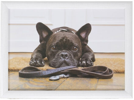 Mars & More Laptray/schoottafel schattige Franse bulldog honden print 43 x 33 cm - Dienbladen Multikleur