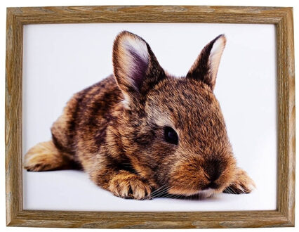 Mars & More Schoot kussen/laptoptray - konijn print - 43 x 33 cm - dienblad - voor op schoot