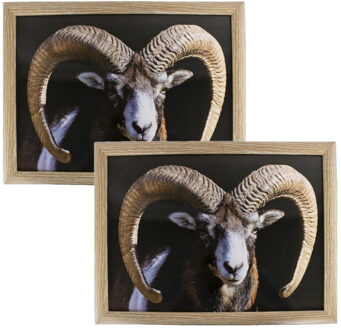 Mars & More Schootkussen - 2x stuks - laptray - ram/schaap print - 33 x 43 cm