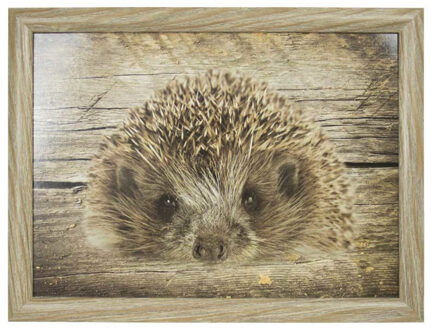 Mars & More Schootkussen Laptray - egels print - laptray - 43 x 33 cm - Dienblad