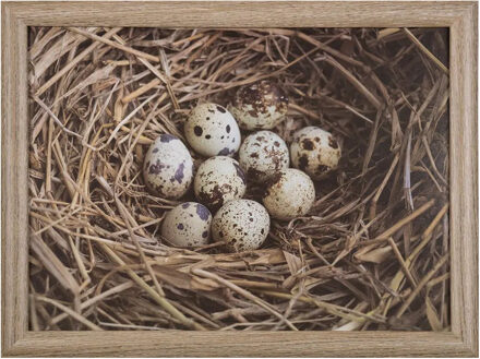 Mars & More Schootkussen Laptray - eieren in nest print - 43 x 33 cm