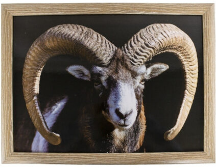 Mars & More Schootkussen - laptray - ram/schaap print - 33 x 43 cm