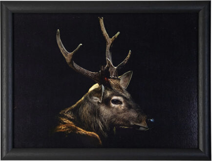 Mars & More Schootkussen Laptray - zwart reebok print - 43 x 33 cm