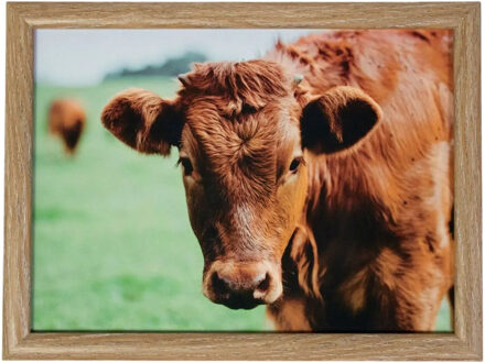 Mars & More Schootkussen Laptray - Zwitserse koe in de wei print - 43 x 33 cm