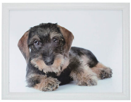 Mars & More Schootkussen - teckel print - laptray - 43 x 33 cm