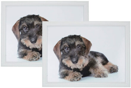 Mars & More Set van 2 schootkussens/laptrays teckel print 43 x 33 cm