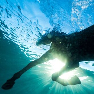 Marshall You Wish - Dream Nails