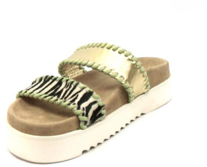 Maruti 66.1753.01 pl5 Goud - 38