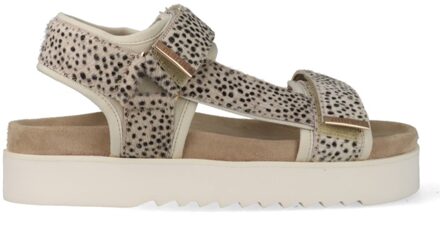 Maruti Beau 66.1653.04-ZJ2 Zilver maat Silver