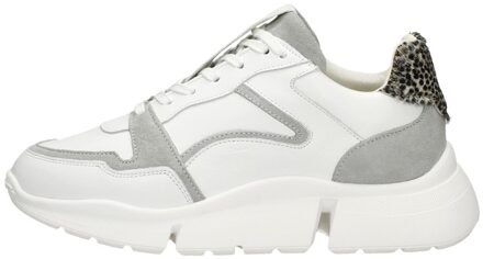 Maruti Cody Wit - 42