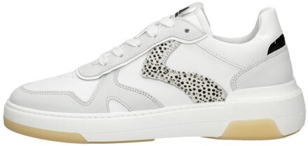 Maruti Jolie Wit - 37