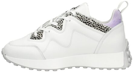 Maruti Kian Wit - 37