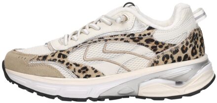 Maruti Riva Beige - 37