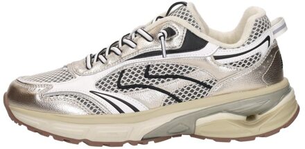 Maruti Riva Goudkleur - 38