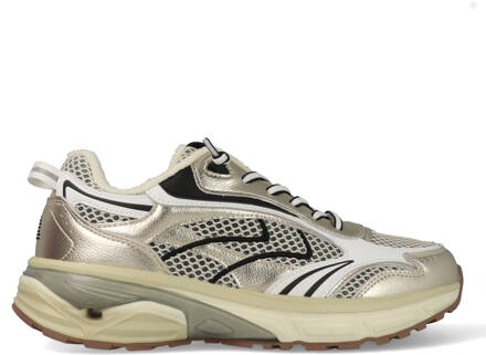 Maruti Riva Goudkleur - 42