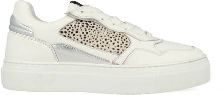 Maruti Tavi 66.1775.01-B7U Wit / Zilver-42 maat 42