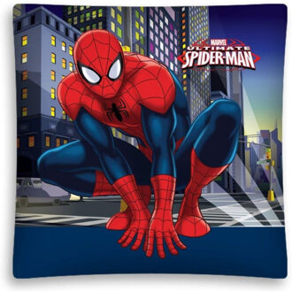 Marv Kussen spider-man: 40x40 cm
