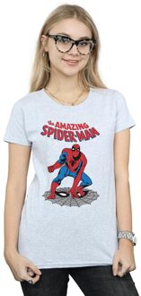 Marvel Dames/Dames The Amazing Spider-Man Katoenen T-Shirt (Sportgrijs) - maat L Lichtgrijs