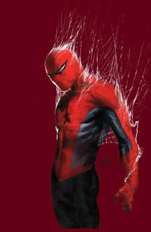 Marvel Spider-Man Web Wrap dames t-shirt - Wijnrood - L