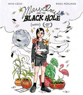 Marvelous and the Black Hole (US Import)