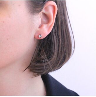 Mary oorbellen - Oostenrijks kristal - maat Wit en roségoud