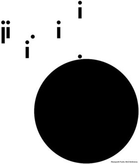 Masayoshi Fujita - Bird Ambience CD