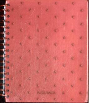 Maschaplanner -  Mascha (ISBN: 9789461563248)