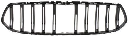 Maserati Radiateurgrille 6502076904999TP