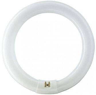 Master Tl-e 40w/840 G10q Transparant