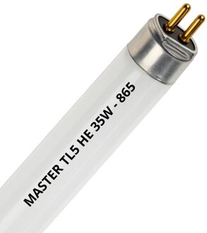 Master Tl5 He 35w/865 144.9cm Transparant