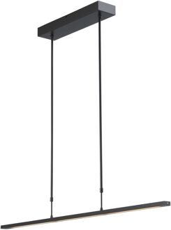 Masterlight Hanglamp Real 2 LED 100 cm zwart nikkel