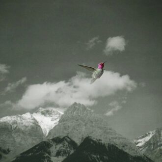 Matador Melt Away - Bardo Pond