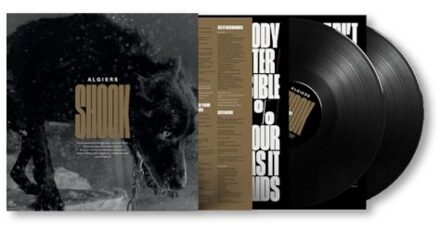 Matador Shook - Algiers