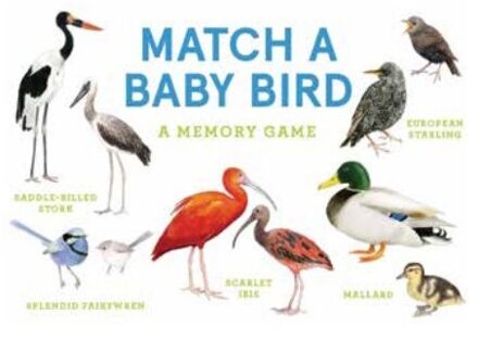 Match A Baby Bird - Unwin Mike