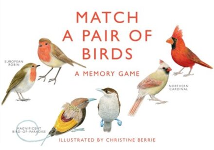 matchspel match a pair of birds