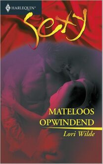 Mateloos opwindend - eBook Lori Wilde (9402501886)